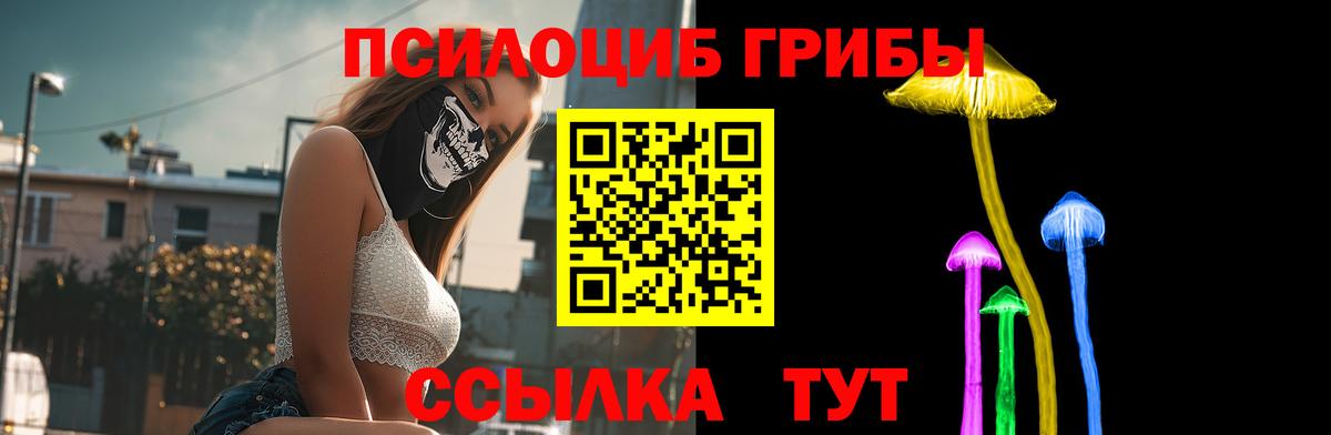 Псилоцибиновые грибы мицелий  Вход с VPN  Псилоцибиновые грибы мицелий  хочу   Азнакаево 